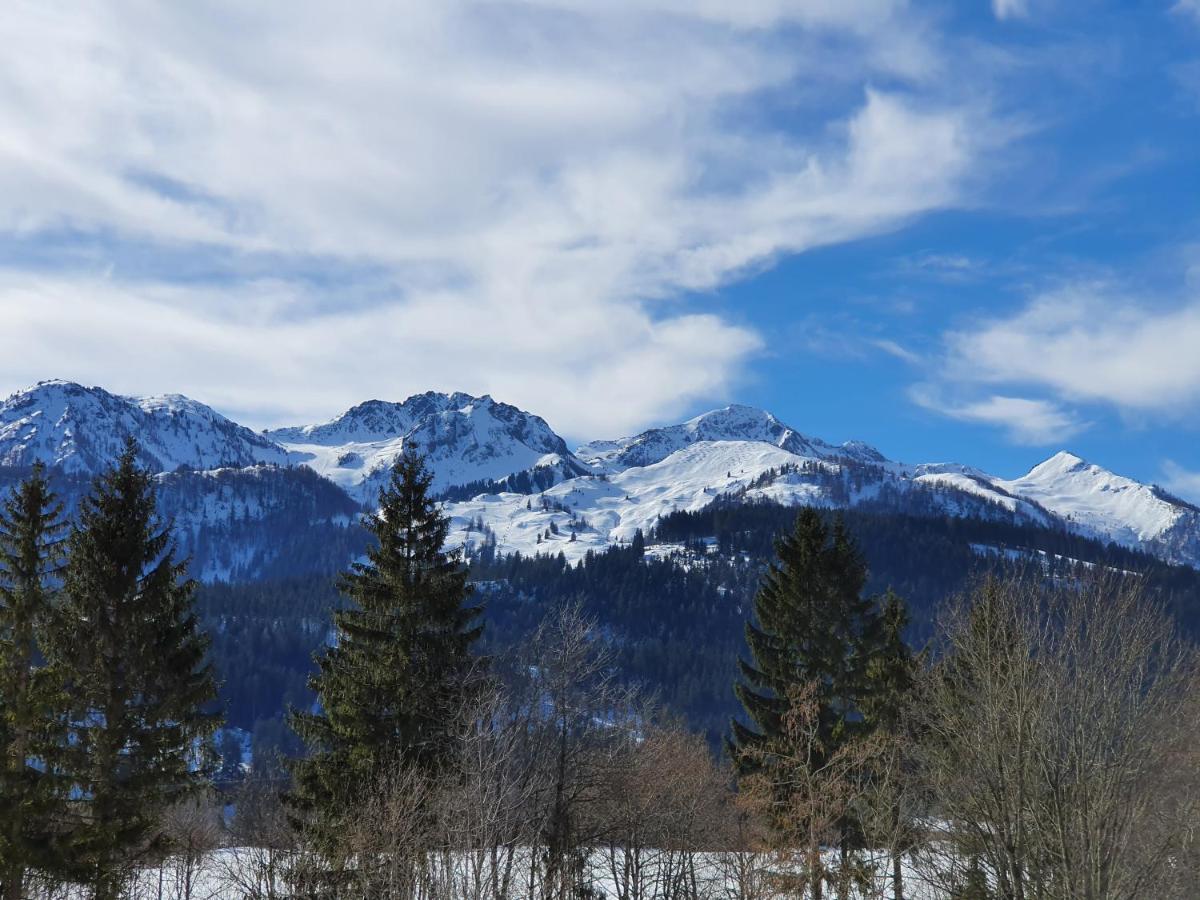 Ferienwohnung App. Mountain View Файбербрун Екстериор снимка